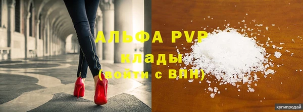 индика Аркадак