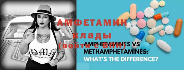 индика Аркадак