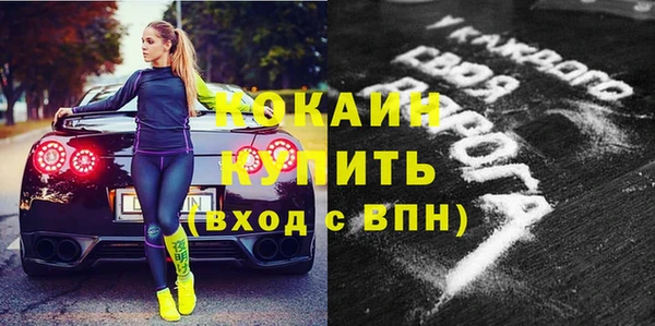 индика Аркадак