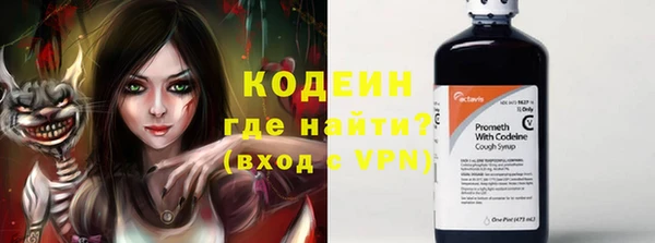 индика Аркадак