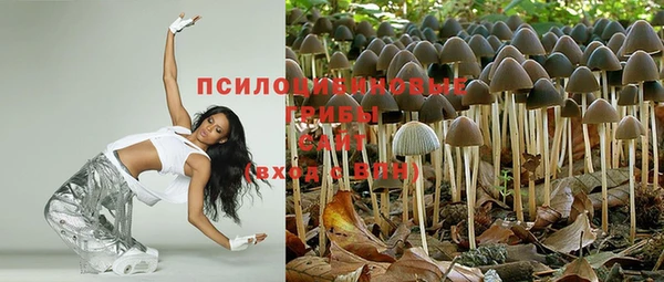 индика Аркадак