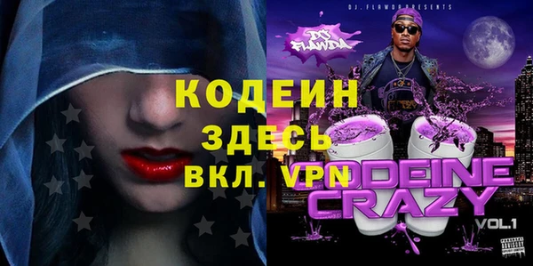 индика Аркадак