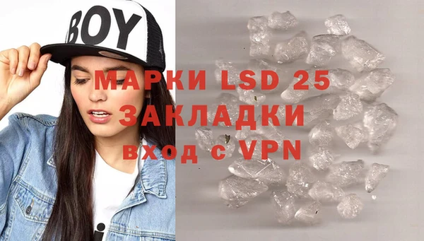 индика Аркадак