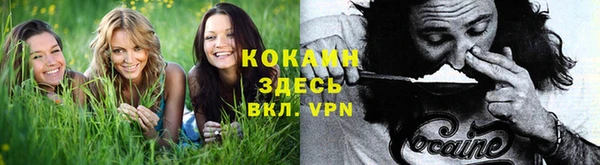 ALPHA-PVP Арсеньев